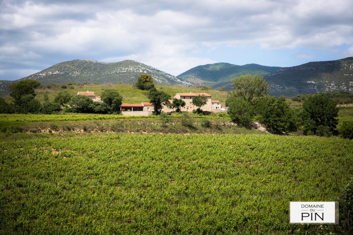 DOMAINE DU PIN — vue 3